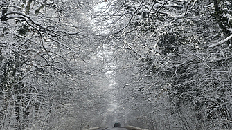 Днес минималните температури ще бъдато между 1 и 8 градуса в