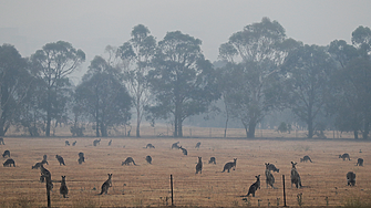 Обширни райони в Австралия са обхванати днес от гореща вълна