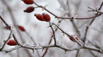 С положителни температури започва месец февруари каза в предаването Точно днес