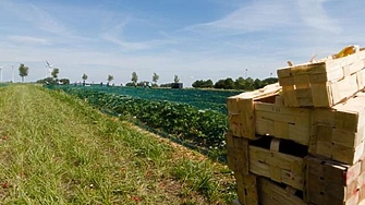 Европейските земеделски стопани ще бъдат частично освободени от правилото за