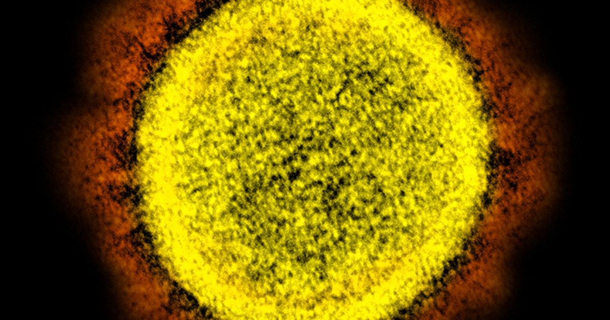 Учени от Тринити колидж в Дъблин и изследователи от FutureNeuro