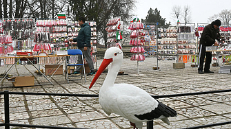 До края на обичайно мразовития месец февруари времето все по настоятелно