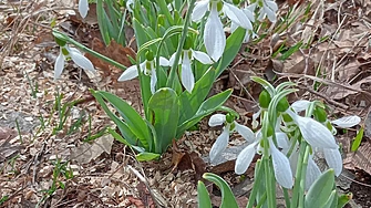 По топло време от обичайното очакват синоптиците през март Според прогнозата на