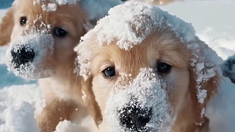 Само преди година първите AI модели за генериране на изображения