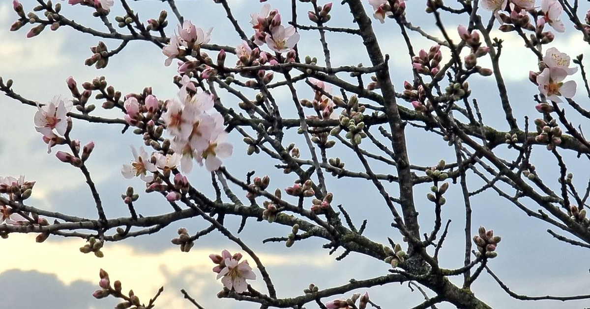 Светът вероятно е имал най-топлия си февруари в историята, с