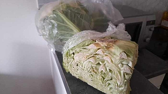 В ЕС ще бъдат забранени опаковките от пластмаси и производни