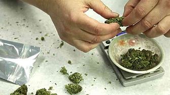 От 1 юли в Германия ще отворят врати канабис клубове