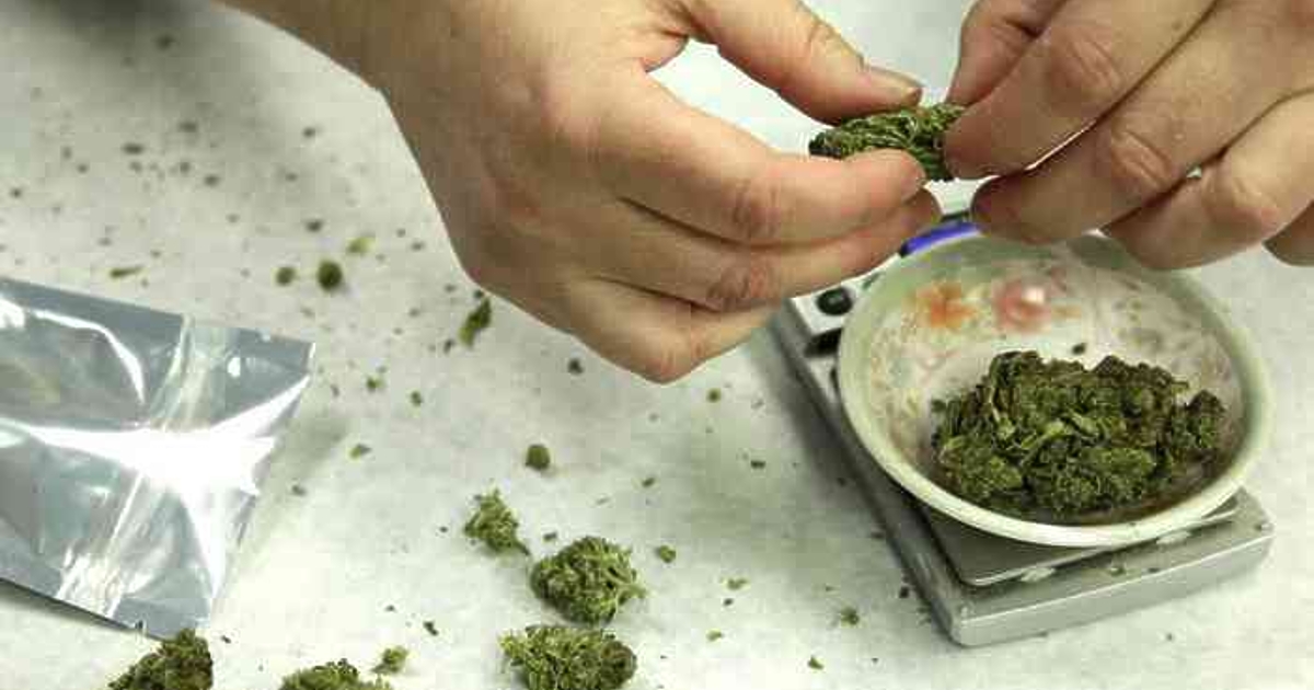 От 1 юли в Германия ще отворят врати канабис клубове