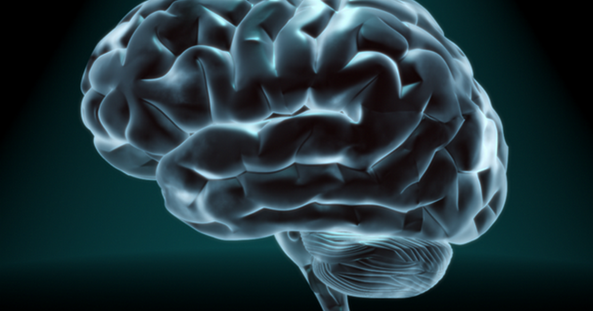 Невробиолози установиха, че събития, за които отделяме време да размишляваме