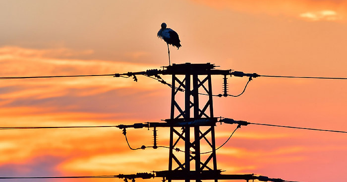 Фактурите за потребена електроенергия към Електрохолд Продажби вече могат да