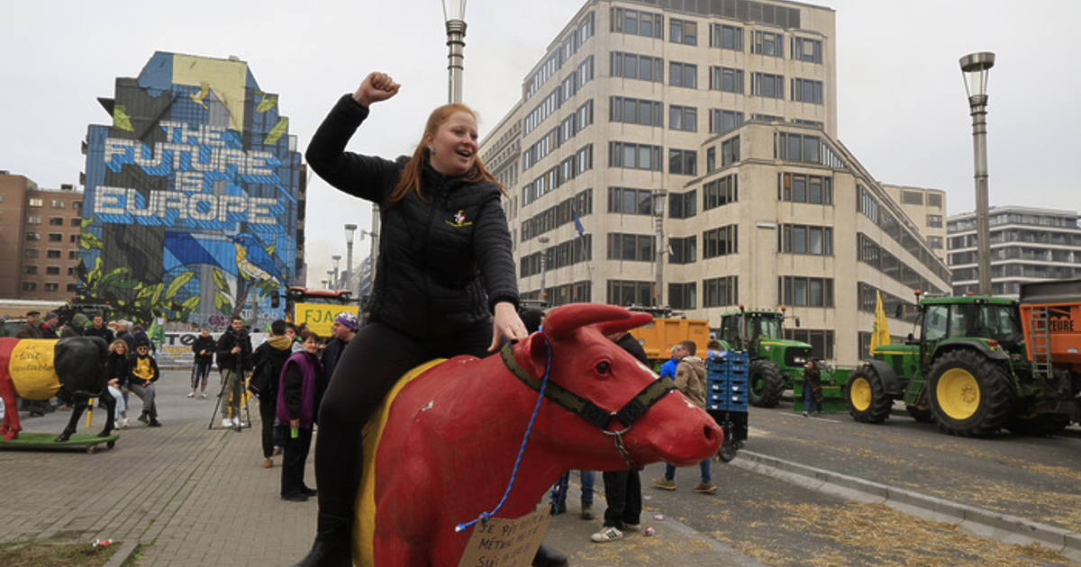 Постоянните представители на страните членки на ЕС в Специалния комитет