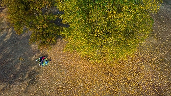 Всяка година Столичната община приема програма за придобиване управление и