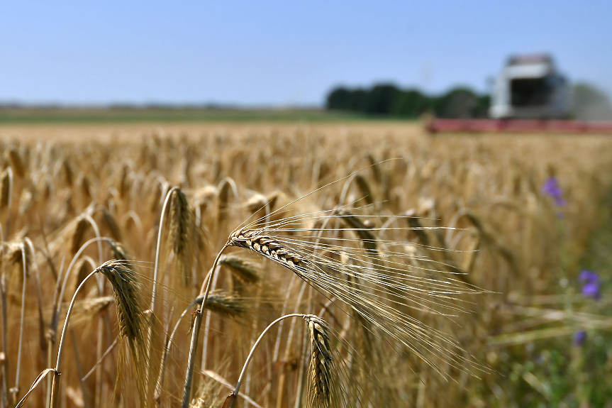 FT: ЕС налага мита върху вноса на зърно от Русия и Беларус