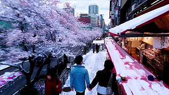 Генераторът на видео Sora който OpenAI демонстрира наскоро със сигурност