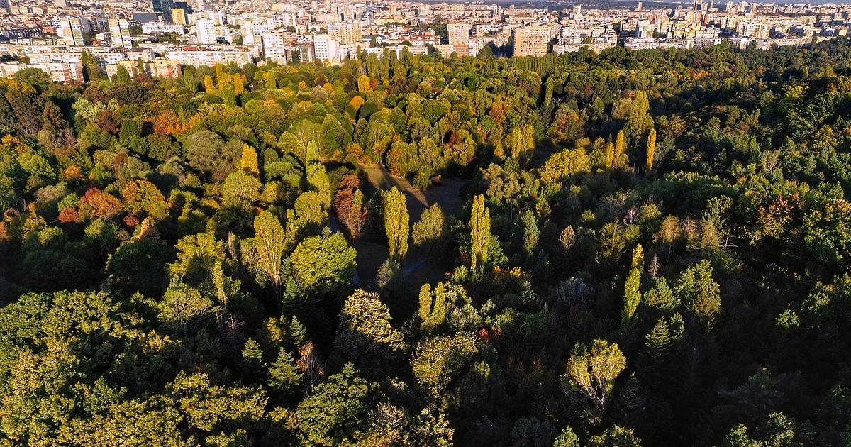 По познатата схема чрез преходни разпоредби ДПС и ГЕРБ правят