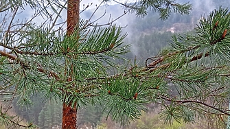 До края на месец май в по голямата част от страната