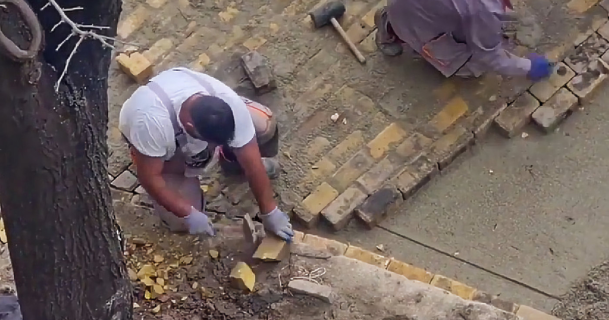 Въпреки глада за кадри у нас, все повече хора не