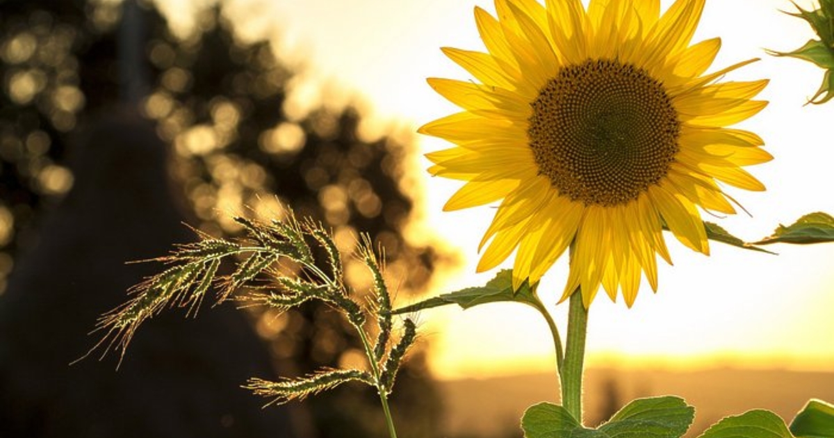 Съществено затопляне и типично летни температури предстоят в края на