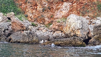 Намерен е безпилотен летателен апарат на скалите между Тюленово и