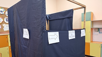 Какви хора са гласували за изненадващата звезда на тези избори