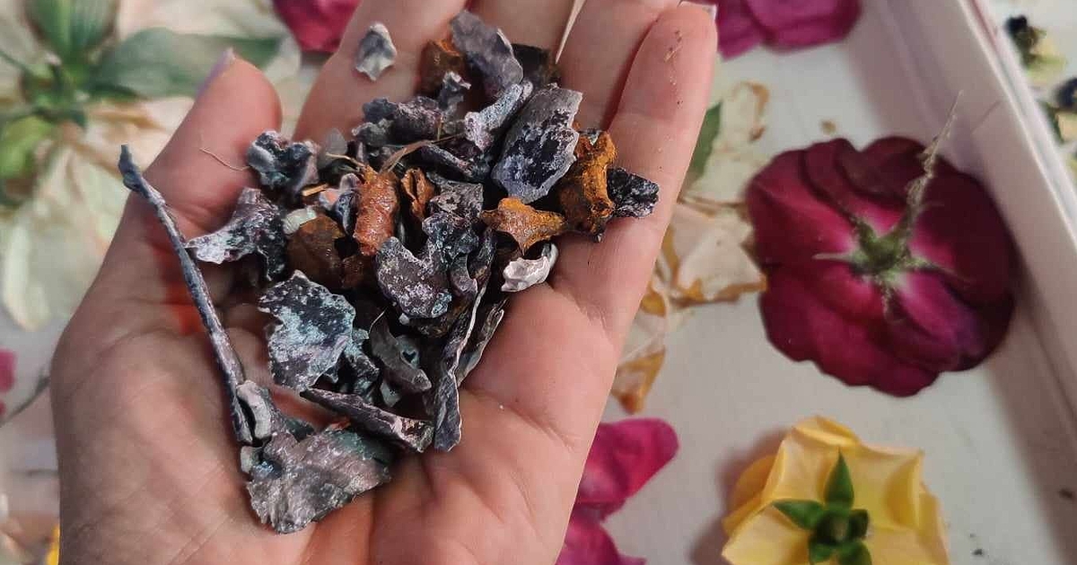 Анна Гин е журналистка и писателка, живее в украинския град Харкив.