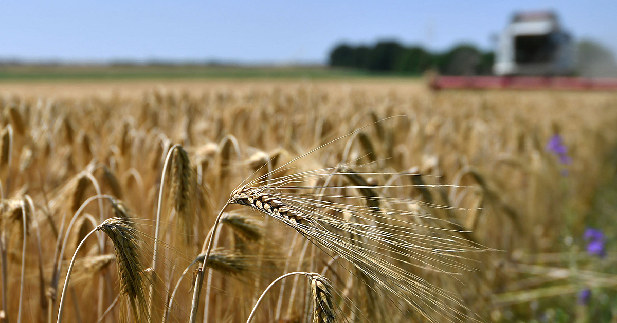 Страните членки (Съветът) на ЕС приеха днес регламент, чиято цел