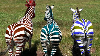 На 9 юни неделя в страната се провеждат извънредният кръг