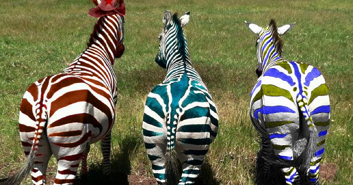 На 9 юни, неделя, в страната се провеждат извънредният кръг