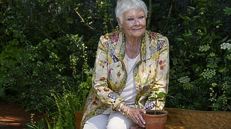 Британската кино и театрална легенда Джуди Денч ще трябва да