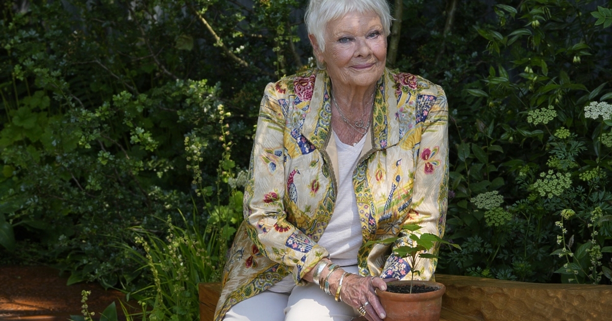 Британската кино- и театрална легенда Джуди Денч ще трябва да