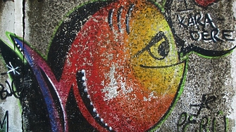 В далечната вече 2016 г депутатите решиха определят че в