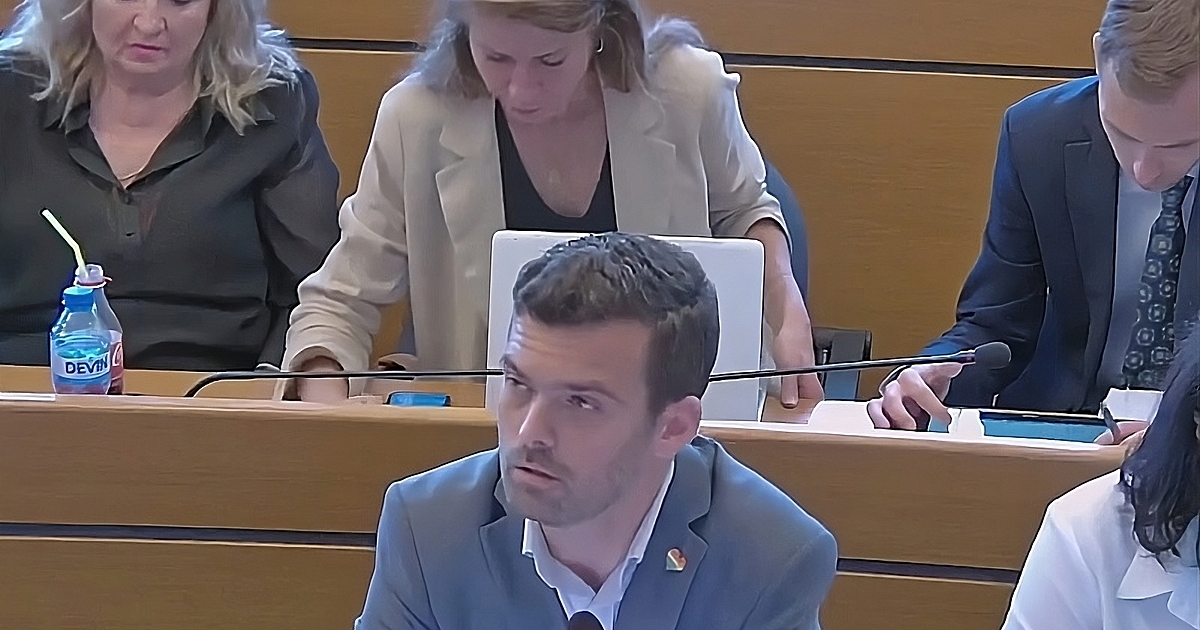 Всяко семейство в София - независимо дали от майка и