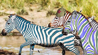 Към 10 00 ч третата букмейкърска агенция с която работим дава