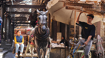 Египетско италианска археологическа експедиция е открила 33 гръко римски семейни гробници на