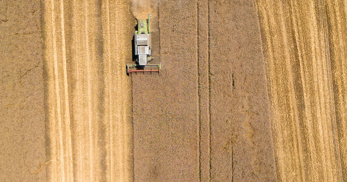 Учени от Тексаския университет в Остин, САЩ, са разработили интелигентна