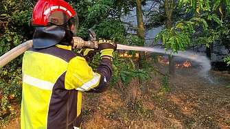 Министерството на външните работи отправи молба до турските официални власти