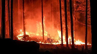 Служебният премиер Димитър Главчев и служебният министър на вътрешните работи