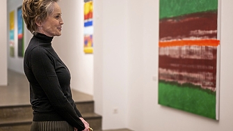 Хората са се възползвали от Шарън Стоун финансово докато тя се