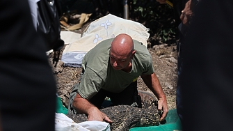 Въпреки че собственикът на крокодила от квартал Ботунец първоначално оказа