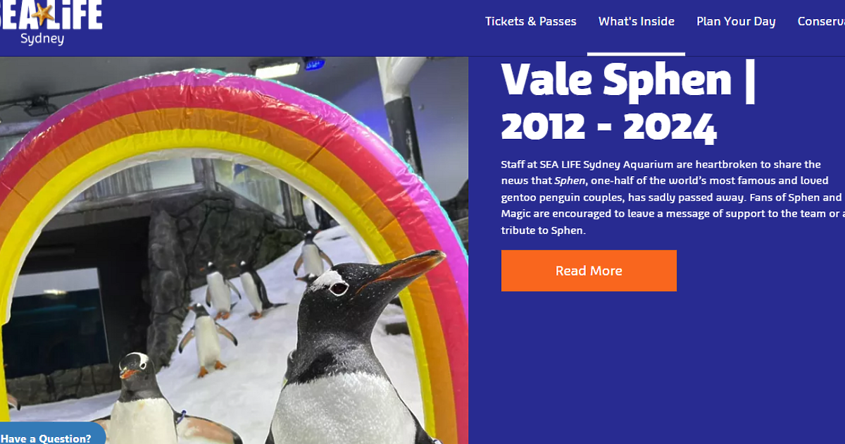 Почина прочутият пингвин Свен, превърнал се в нещо като гей