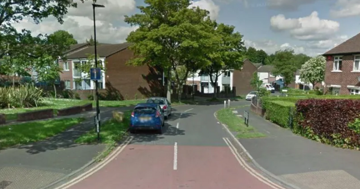 Пет деца и възрастен бяха ранени при стрелба с въздушна