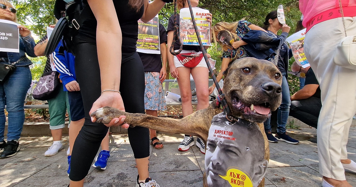 Граждани се събраха на протест пред Столичната община в защита