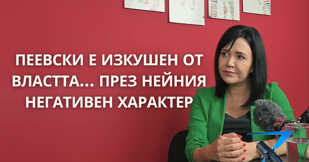 Защо има разцепления и вътрешни борби в системни партии като