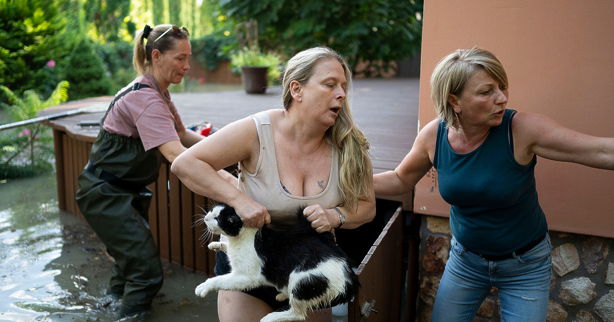 Тихият бял Дунав в Централна Европа нито е тих, камо