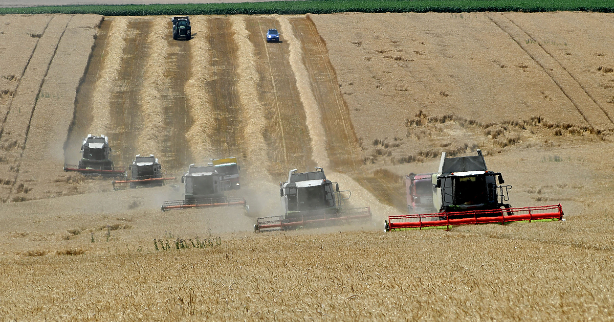 Родолюбието несъмнено е нещо прекрасно. Но лъжата и невежеството със