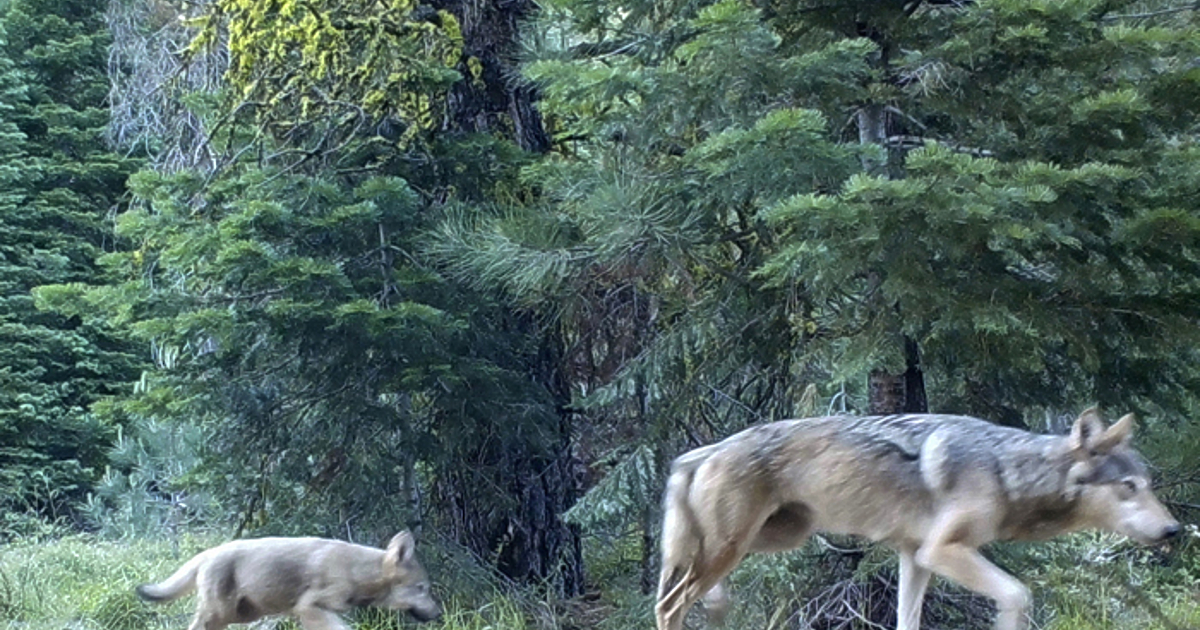 Постоянните представители на страните от ЕС се споразумяха за промяна