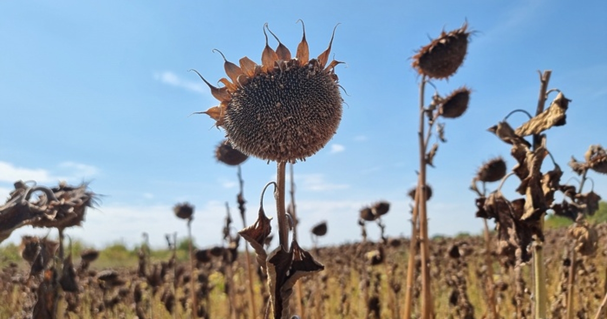 Европейската комисия предложи да бъдат отпуснати 10,9 милиона евро за