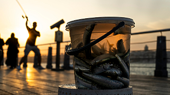 Преходът от водата към сушата е едно от най значимите събития