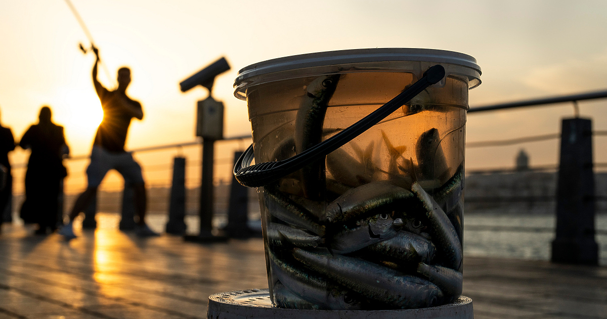 Преходът от водата към сушата е едно от най-значимите събития