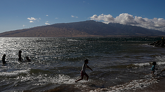Акула нападна 61 годишен сърфист на остров Мауи в Хавай вчера откъсвайки